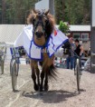 /album/bildgalleri%3a-%c3%a5rjang-9-7-131/dsc8628-jpg/